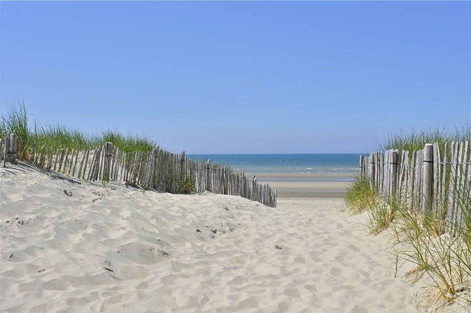 Camping du Perroquet