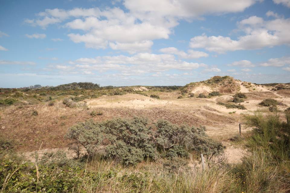 Camping du Perroquet